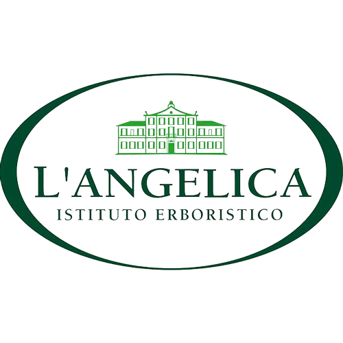Company Logo L'Angelica